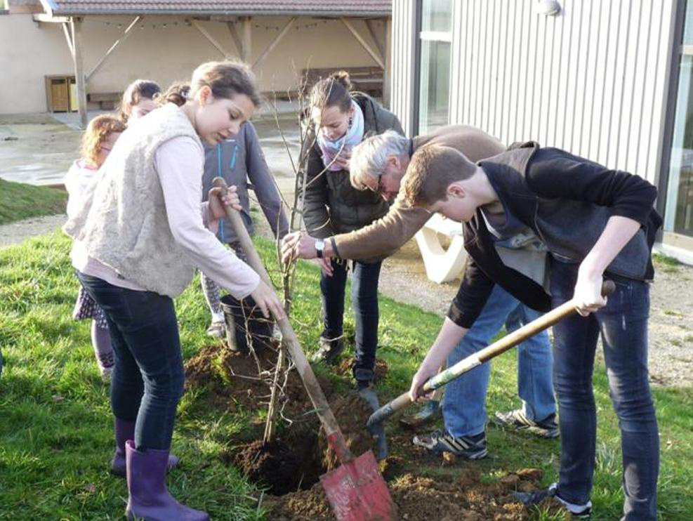 Plantation de l'arbre de la COP21