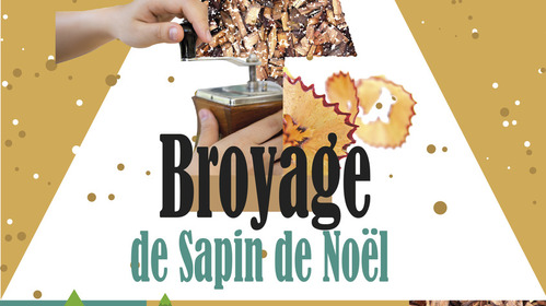 Broyage de sapin