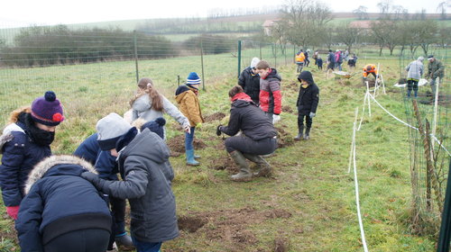 Enfants et habitants plantent 1 000 arbres sur un kilomètre