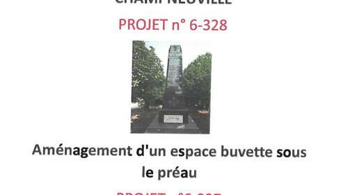 Ma fameuse idée : votez pour le projet de Champneuville !