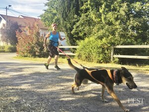 L'ASPTT canicross au Trophée des montagnes